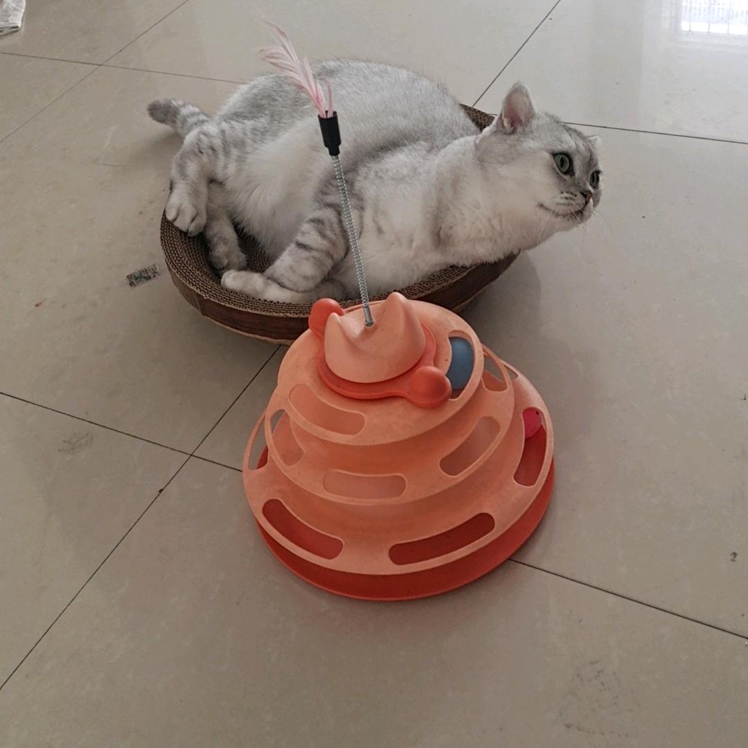 最美的星空😘😘