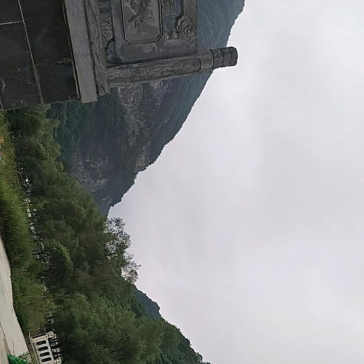 长桉