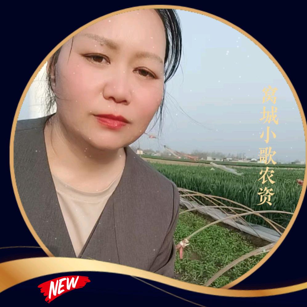 窝城小歌农资（种子化肥农药）