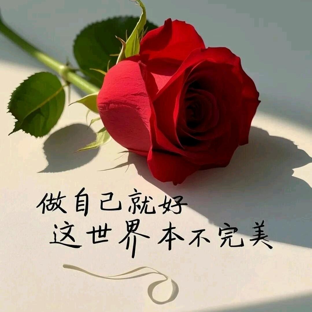 秋水伊人🌹