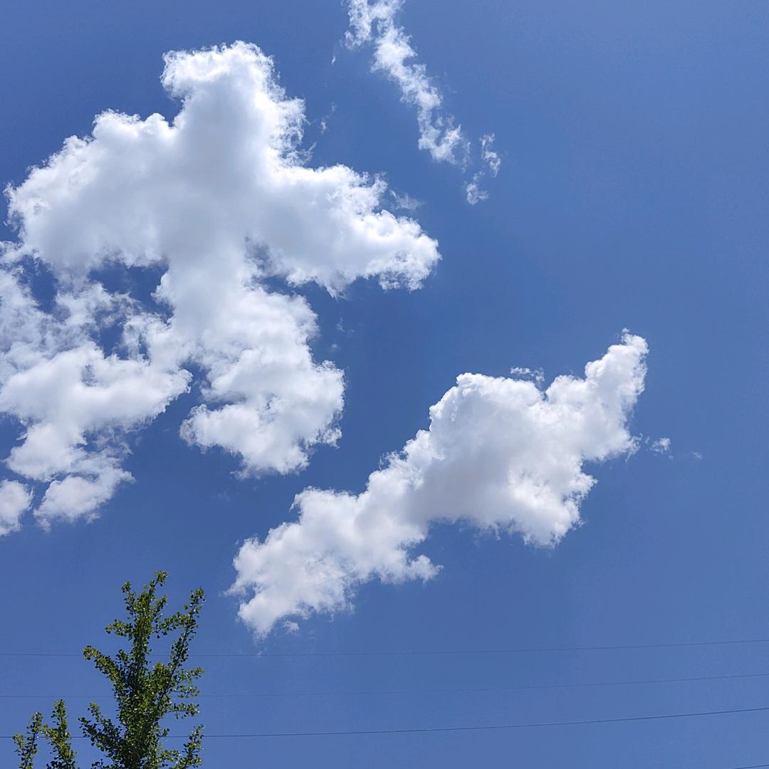 风都超级甜✨