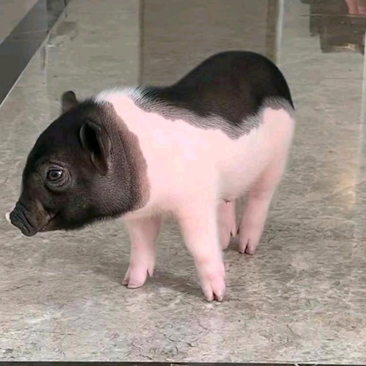 穿越你的灵魂