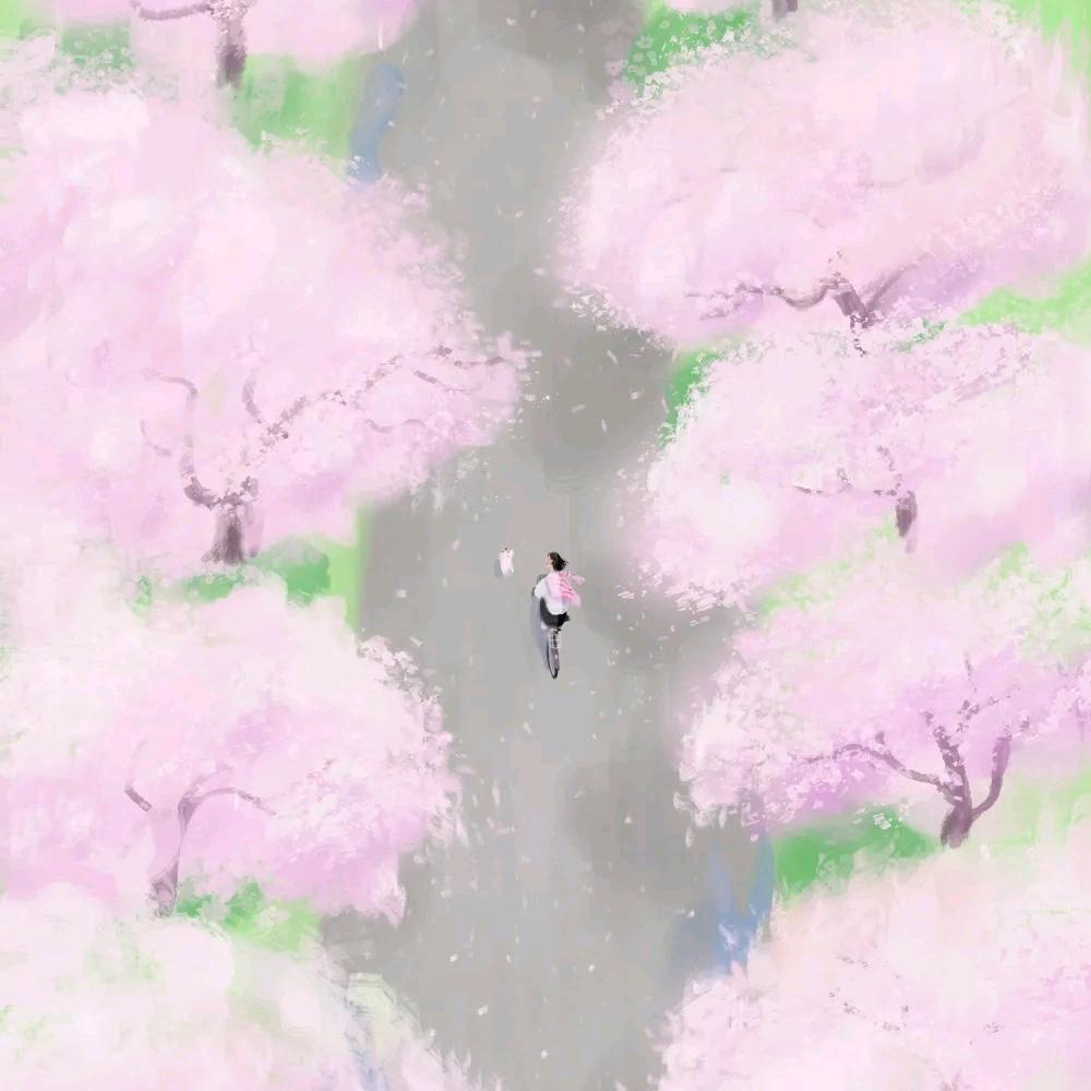 康康🚴‍♀️
