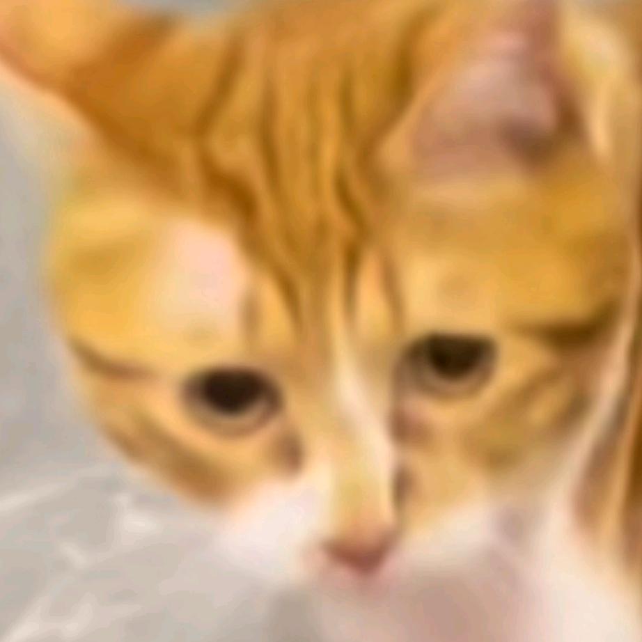 灯魔