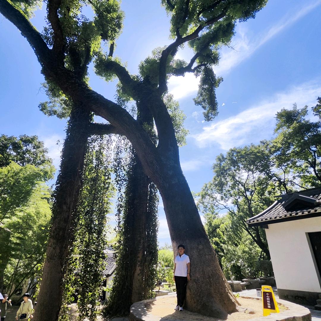 教育孩子如打太极