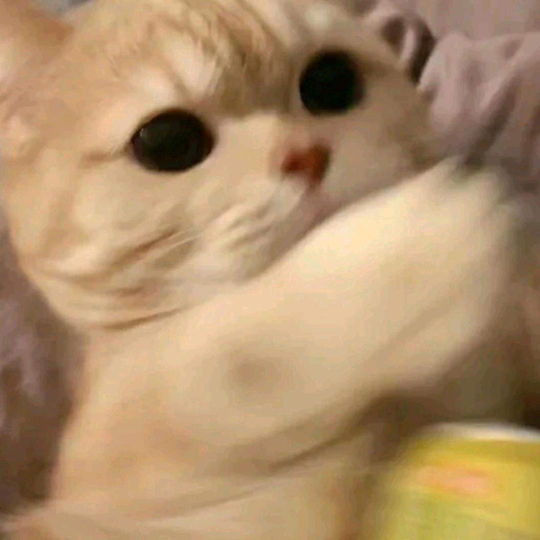 李子果酱ᴶᵀ