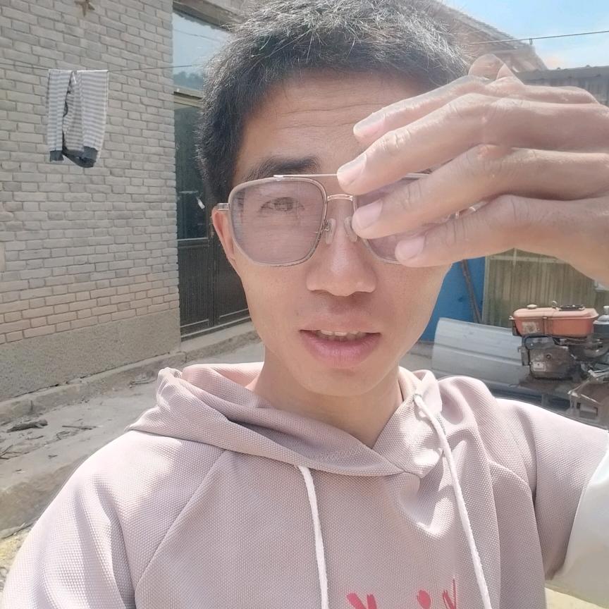 活羊代办强子