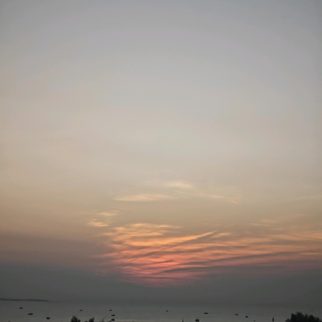 来杯水果捞