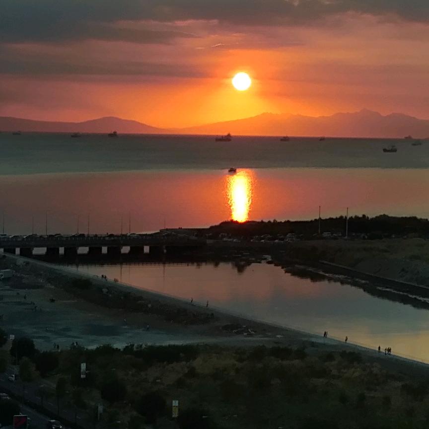 鱼，大鱼吃小鱼