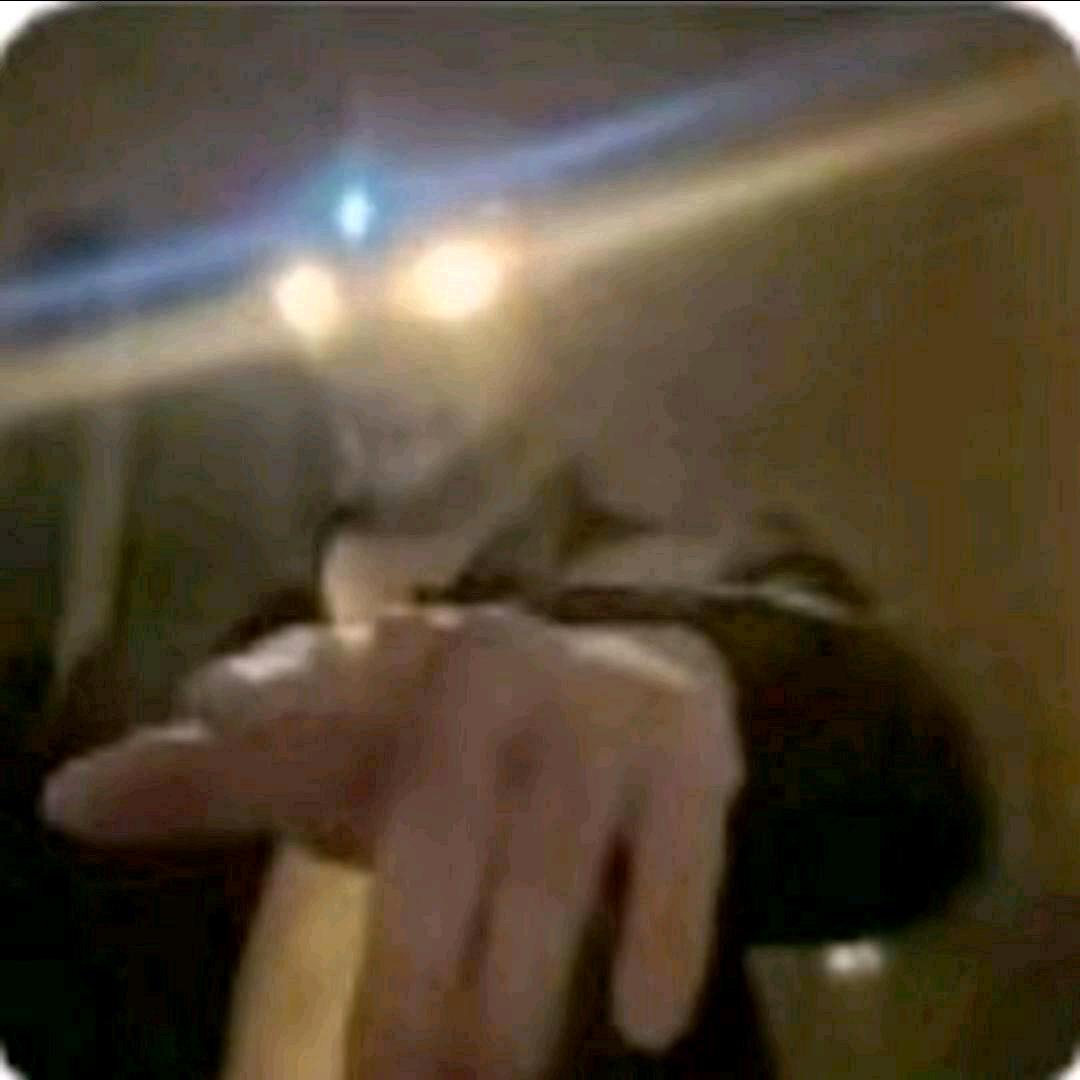 我坎赛诺想干嘛就干嘛
