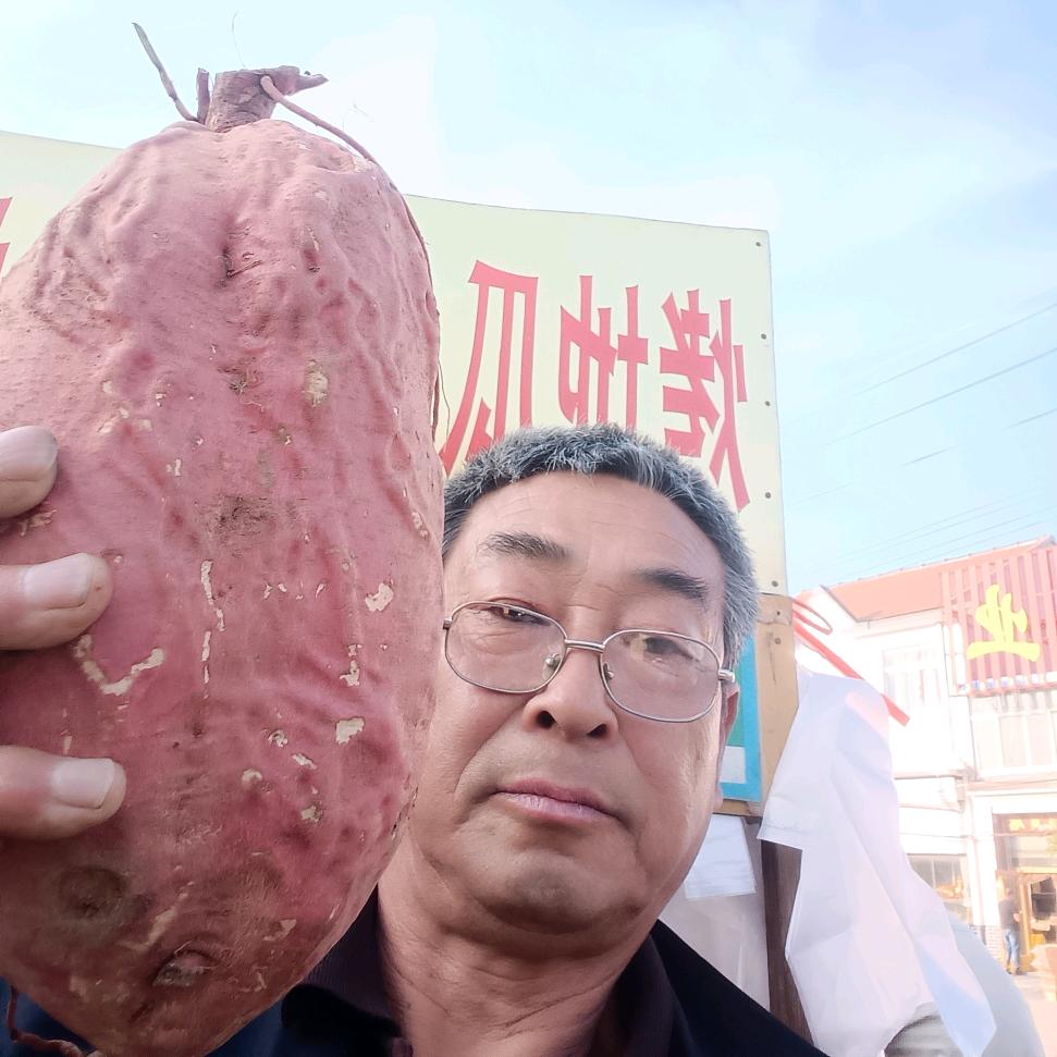 老马烤蜜薯烤冰糖雪梨
