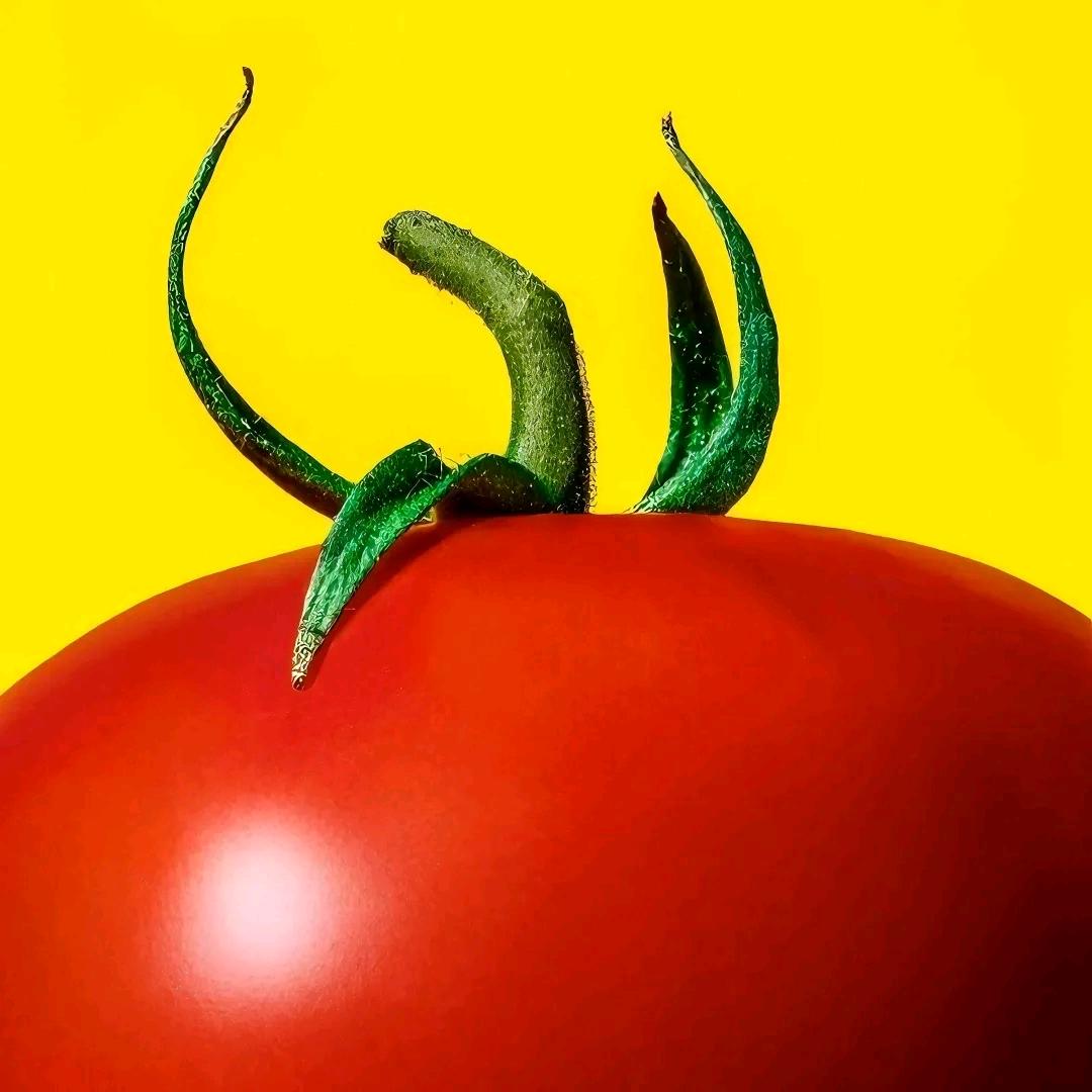 19岁性感番茄（三周年版）