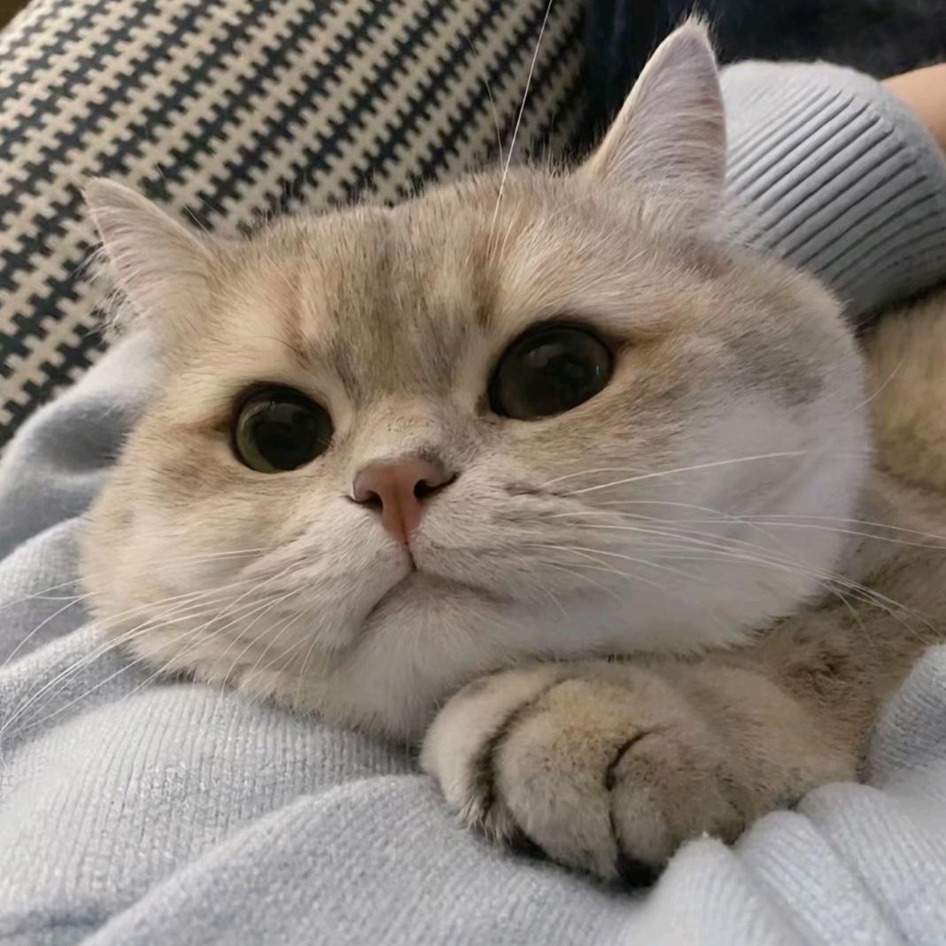 起点还是终点