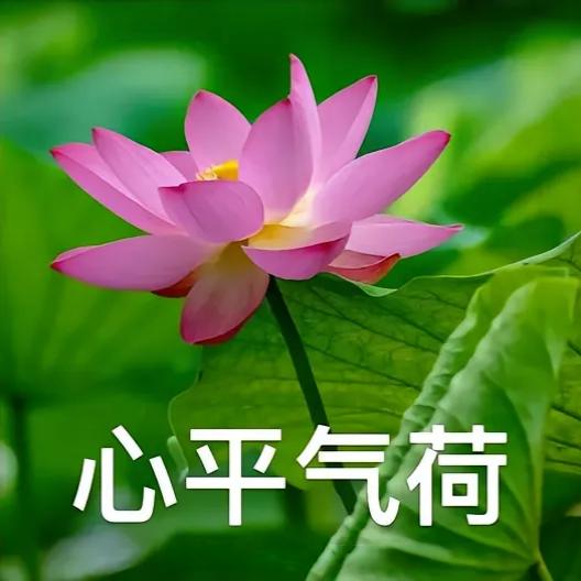 可可🎙️
