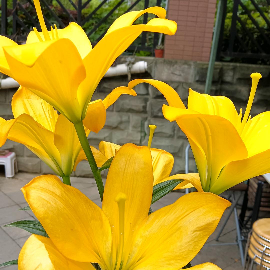 朋友永远都支持你