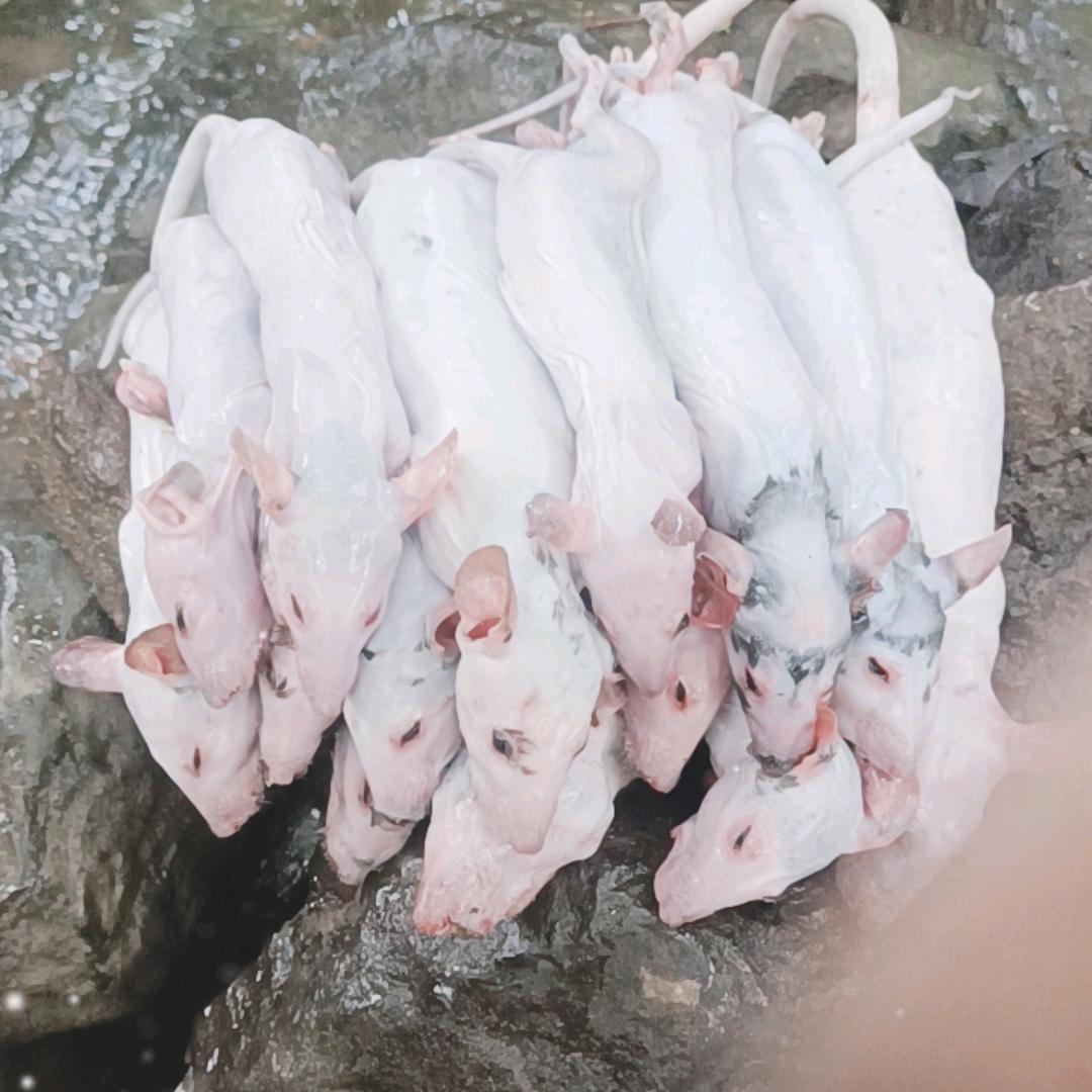 颜兄。户外活动