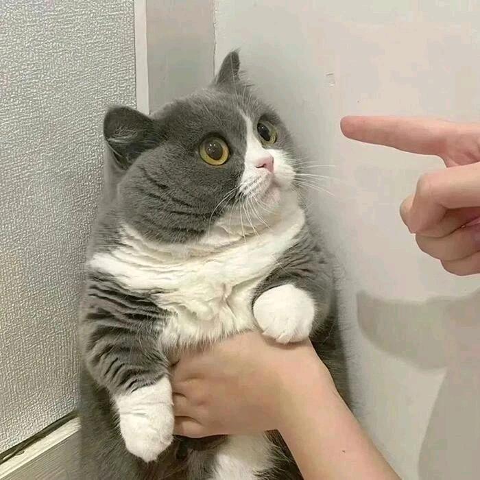 置顶🔝快乐💕