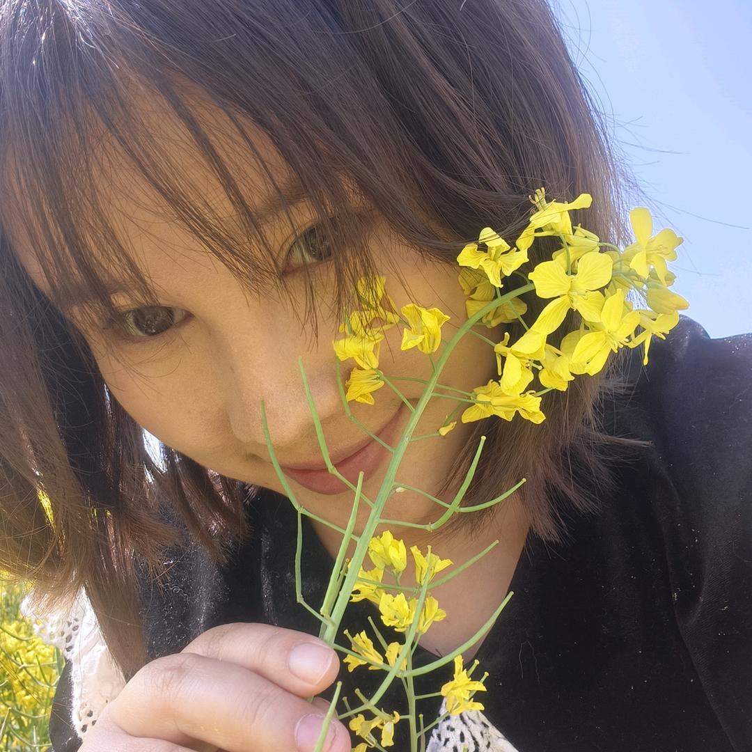 兴新(金融)燕子