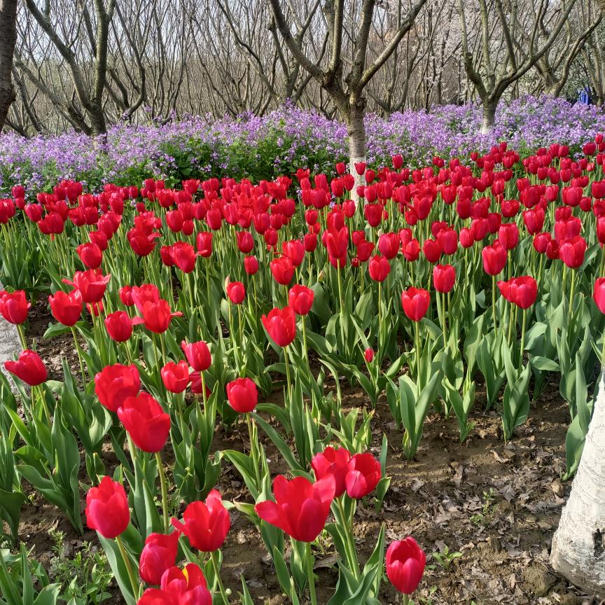 弱肉强食，强者为尊，