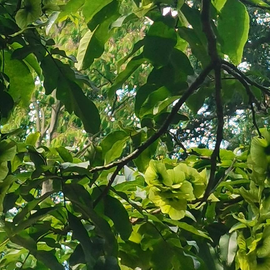 哈喽🧚‍♀️🧚‍♀️