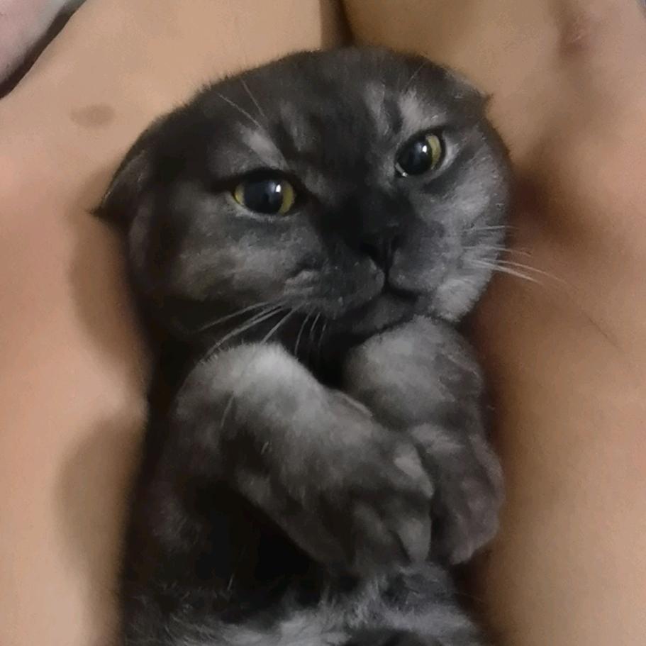小酒鬼