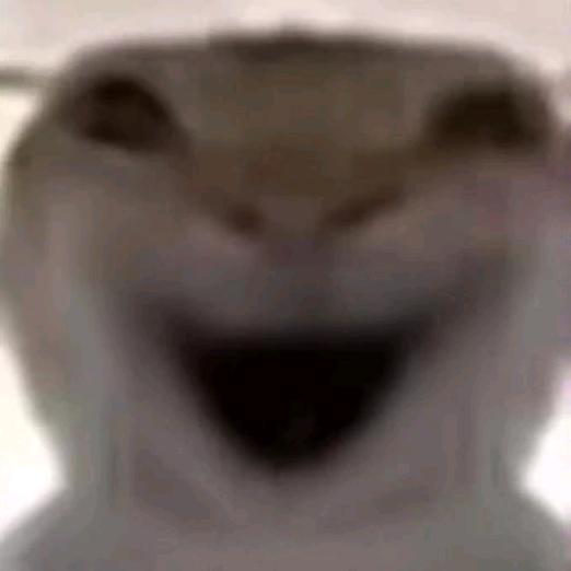鼠鼠大龙
