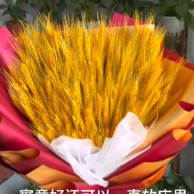 回收精品直播货