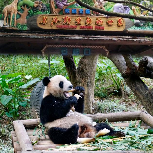 华南旅游套票王（熊猫酒店专场）