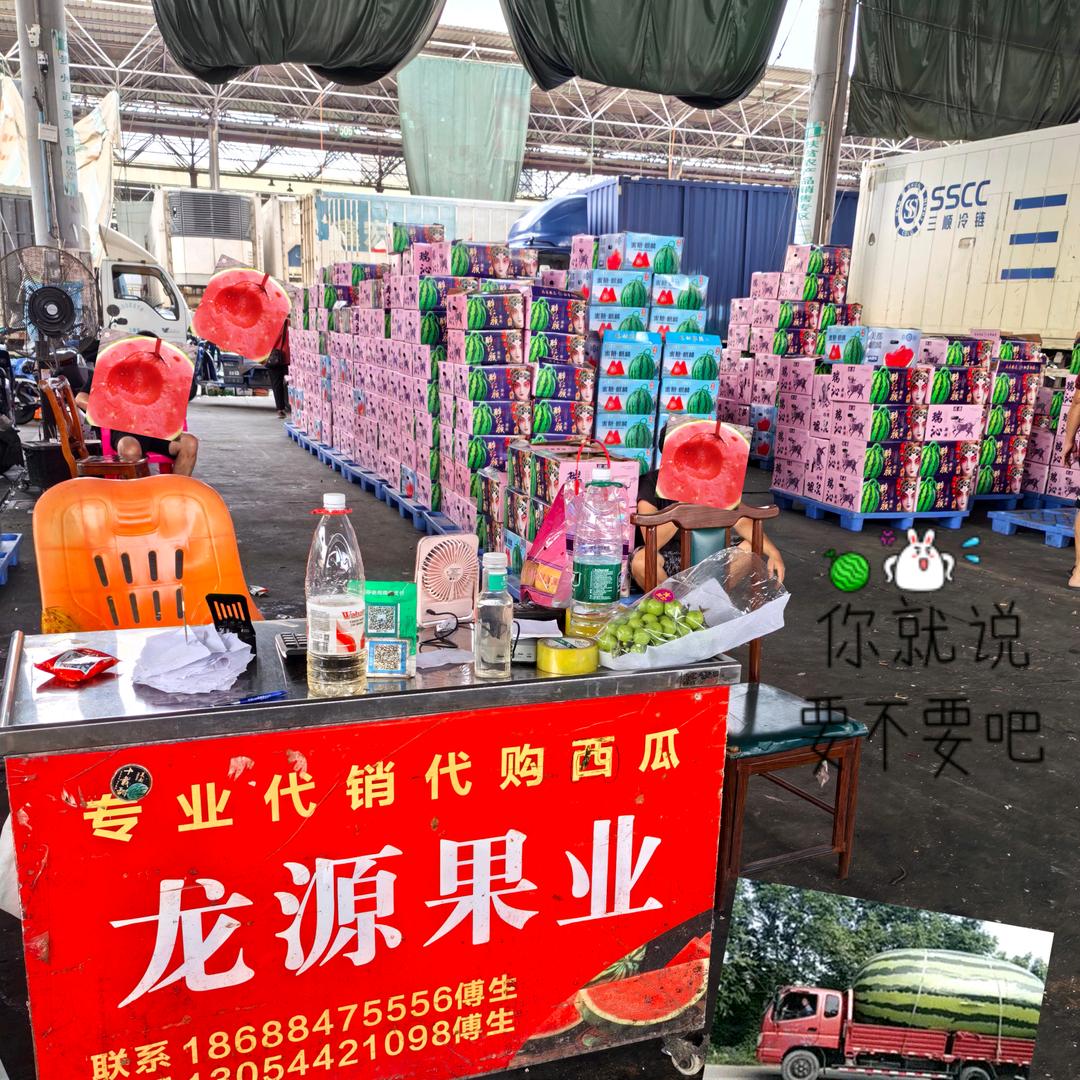 重生之—我在广东卖西瓜🍉