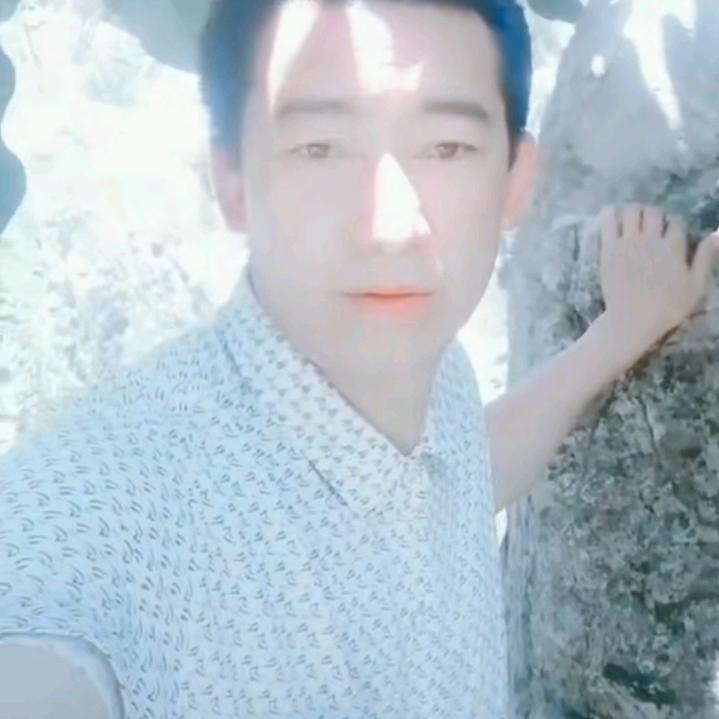 杨林