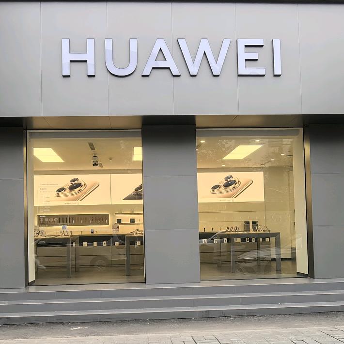 会飞的乌龟