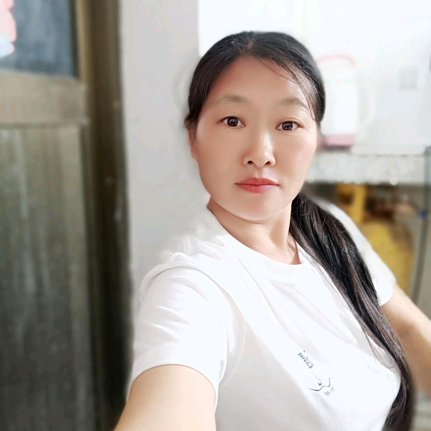 广州小飞燕