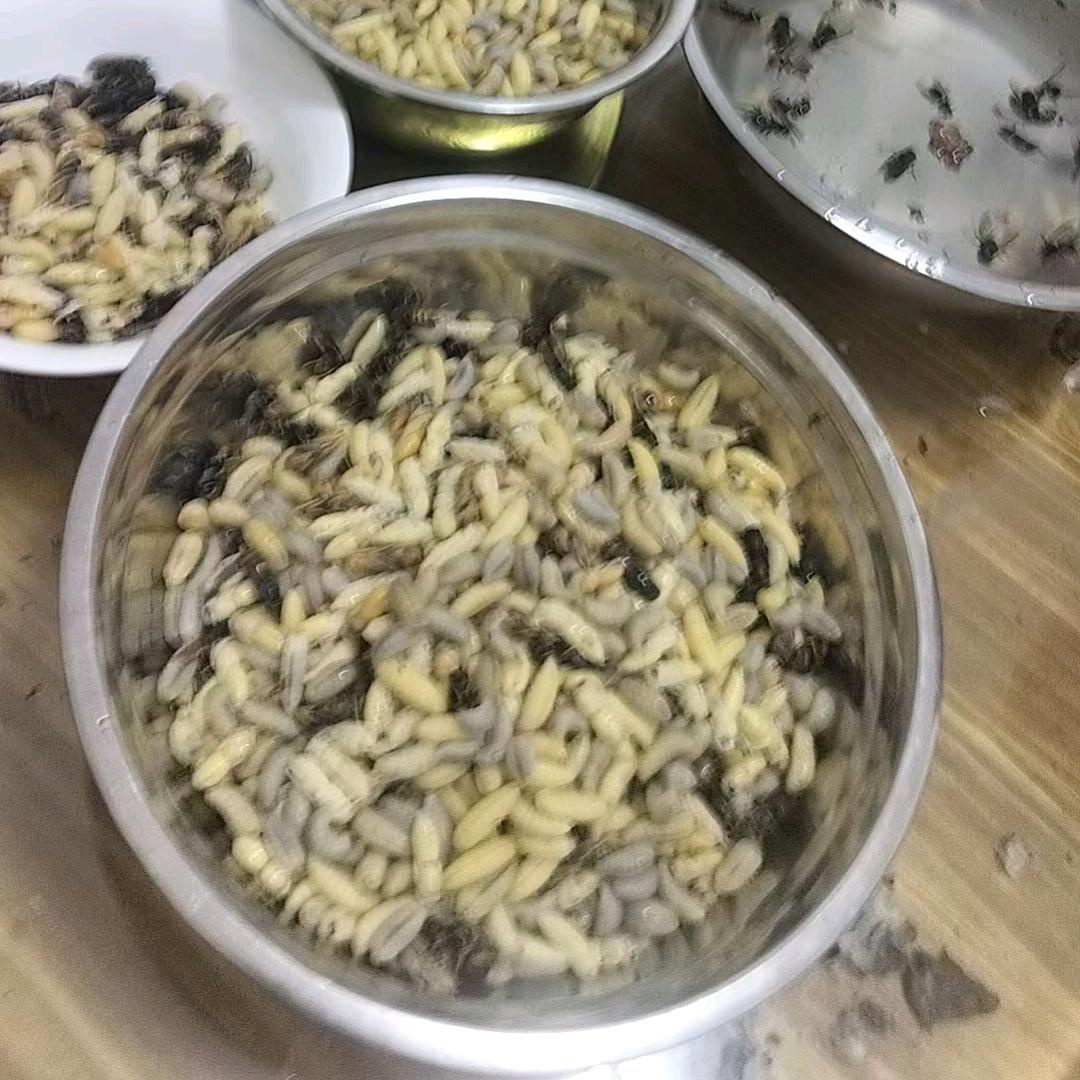 给哥点赞