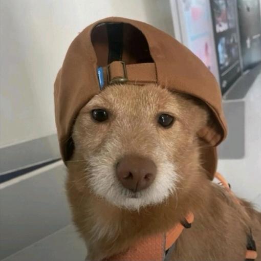 王泽武