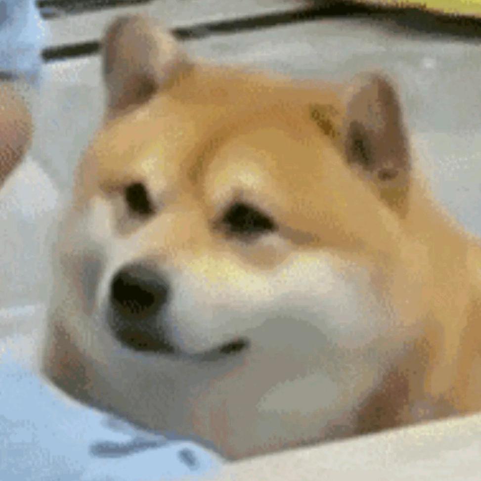 ( ´(oo)`)