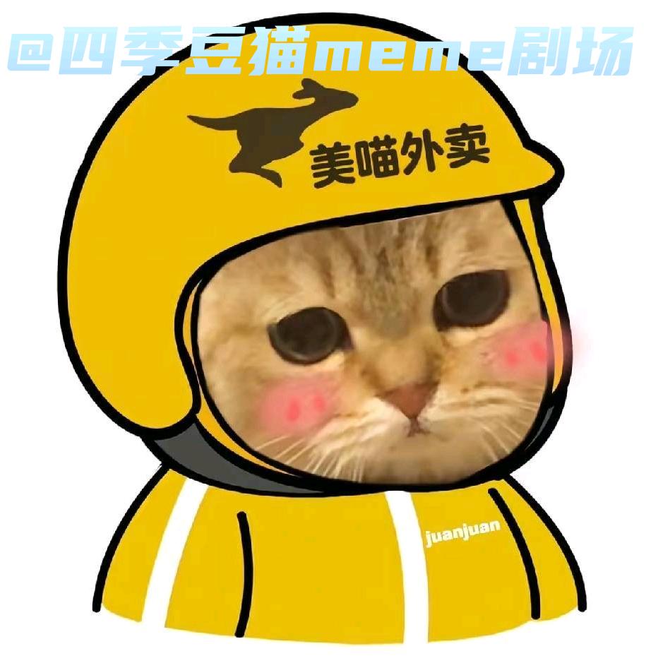 四季豆 猫meme剧场