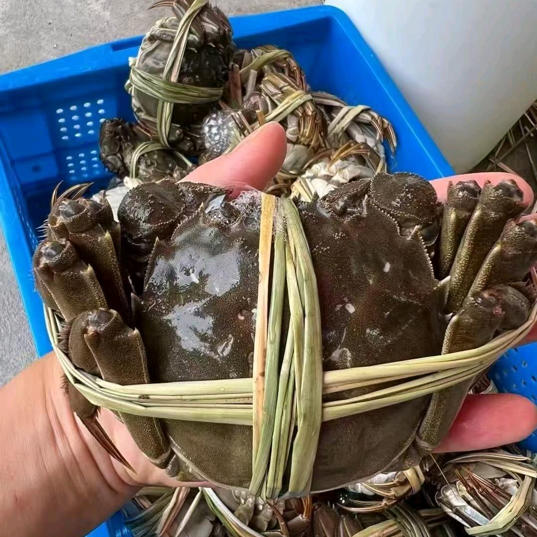 蟹老板的生鲜铺