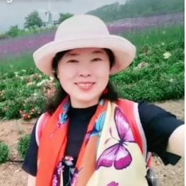 李姐的退休生活