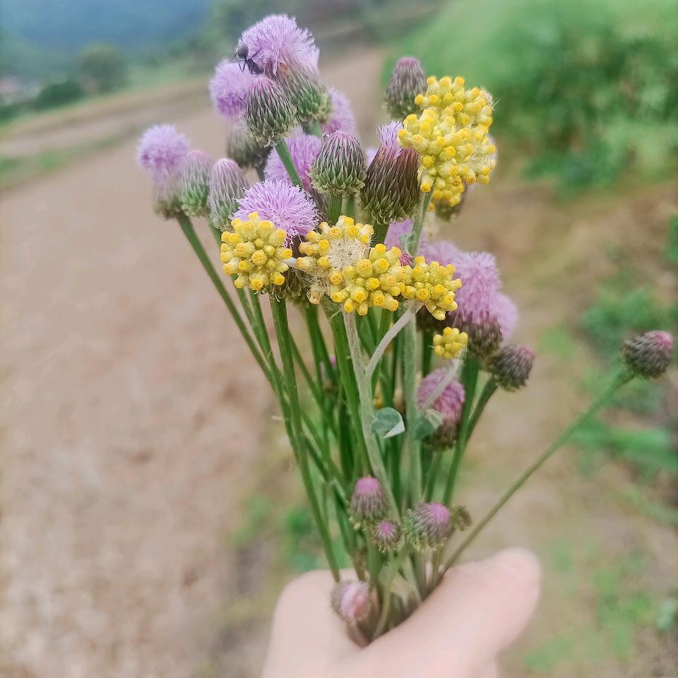 雨天听雨