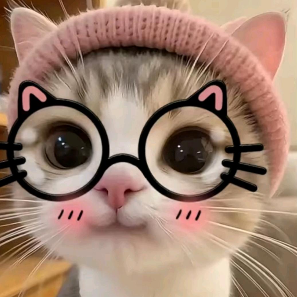 撸猫噜