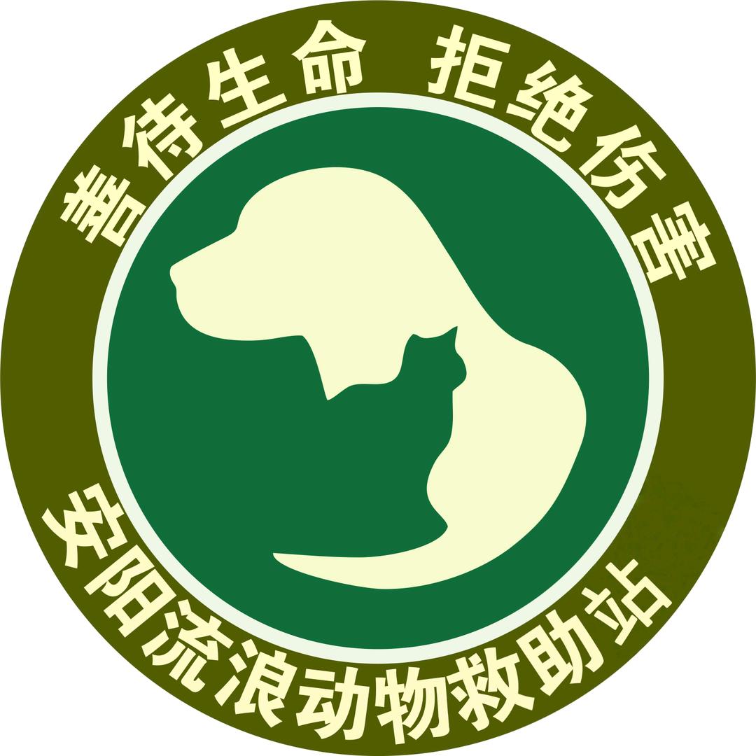 安阳流浪动物救助站