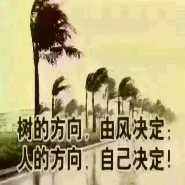 风雨同舟.