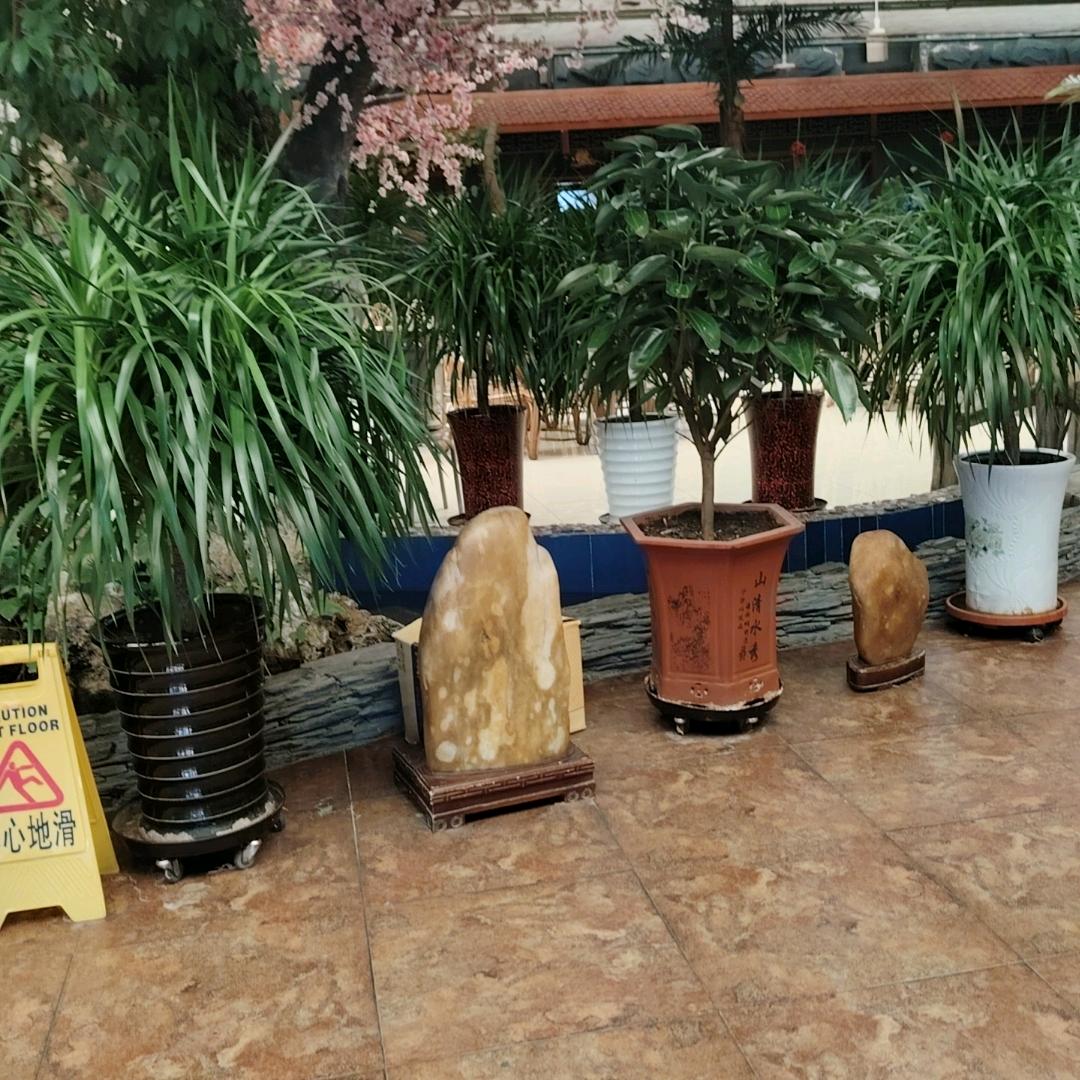 福海高老庄农家