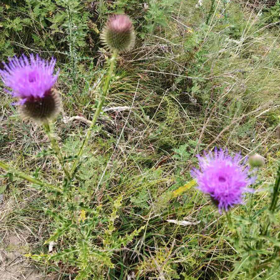 格姐（好物推荐）