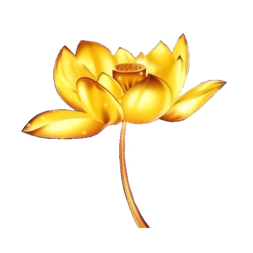 随  缘