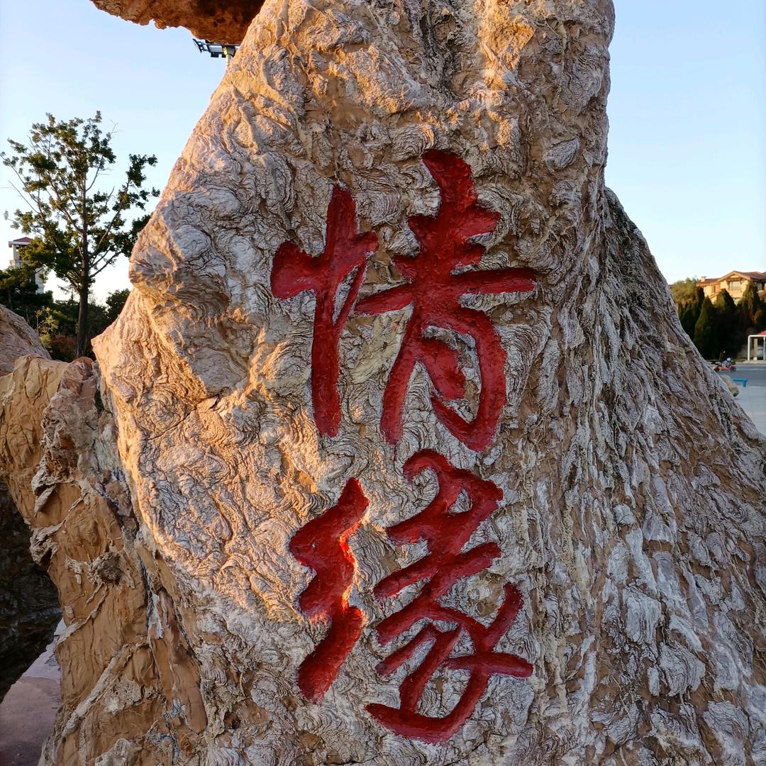 達鑫