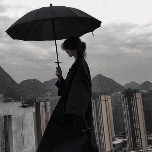 二迷胡
