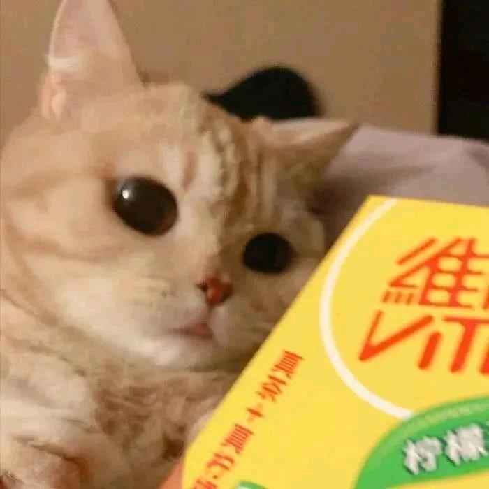 三火的睡前故事