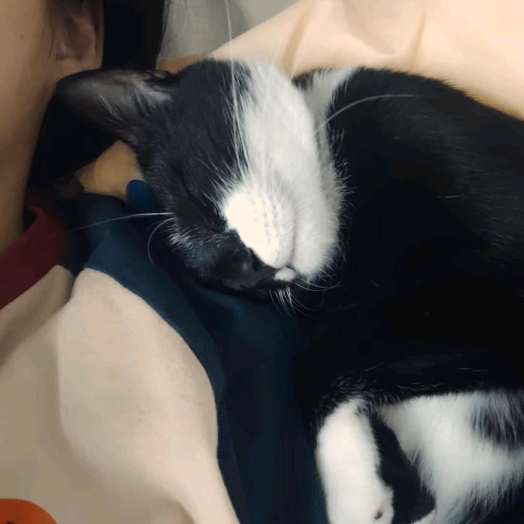 早点碎觉