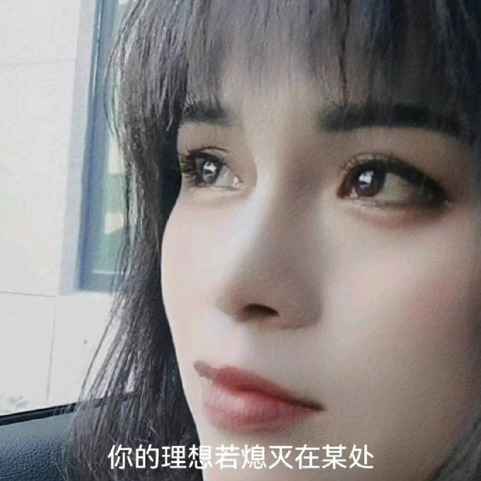 黑玫瑰-兰淋团队